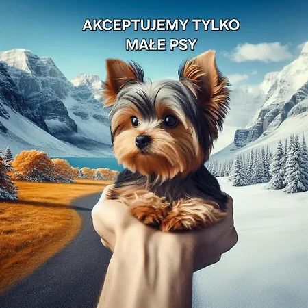 Lux Bogdanskiego By Rentilopl * זקופאנה