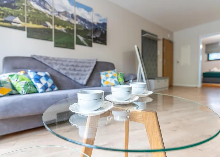 Lux Bogdanskiego By Rentilopl * Zakopane