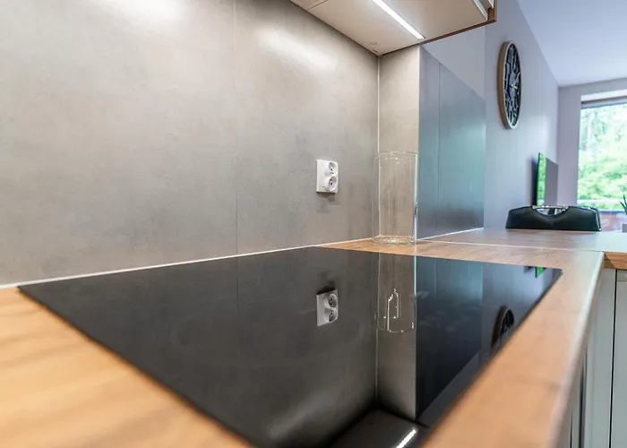 Lux Bogdanskiego By Rentilopl Zakopane