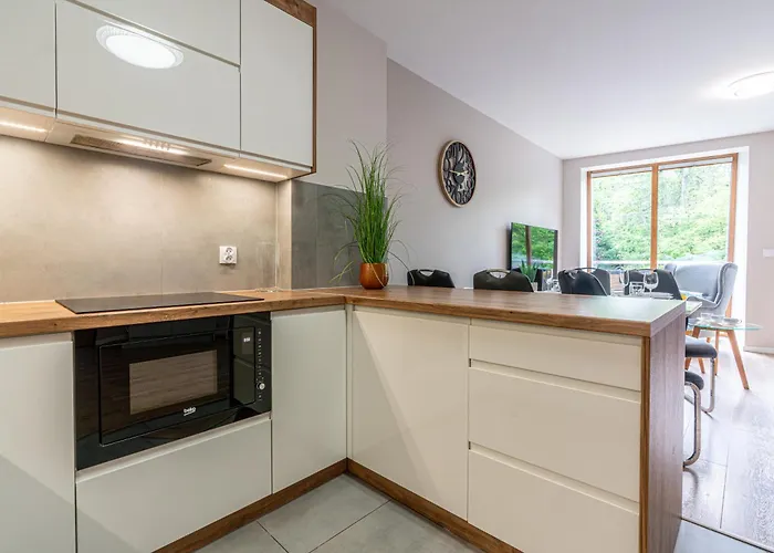 Lux Bogdanskiego By Rentilopl Zakopane